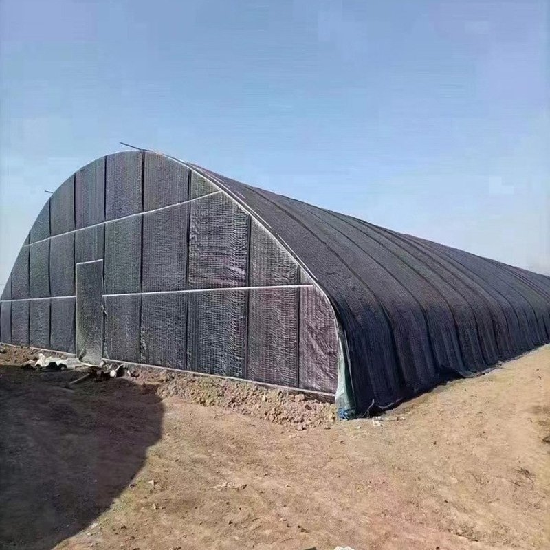 Commercial single arch Agricultural Farm thermal insulation oval pipe greenhouse for vegetable double layer insulated Greenhouse
