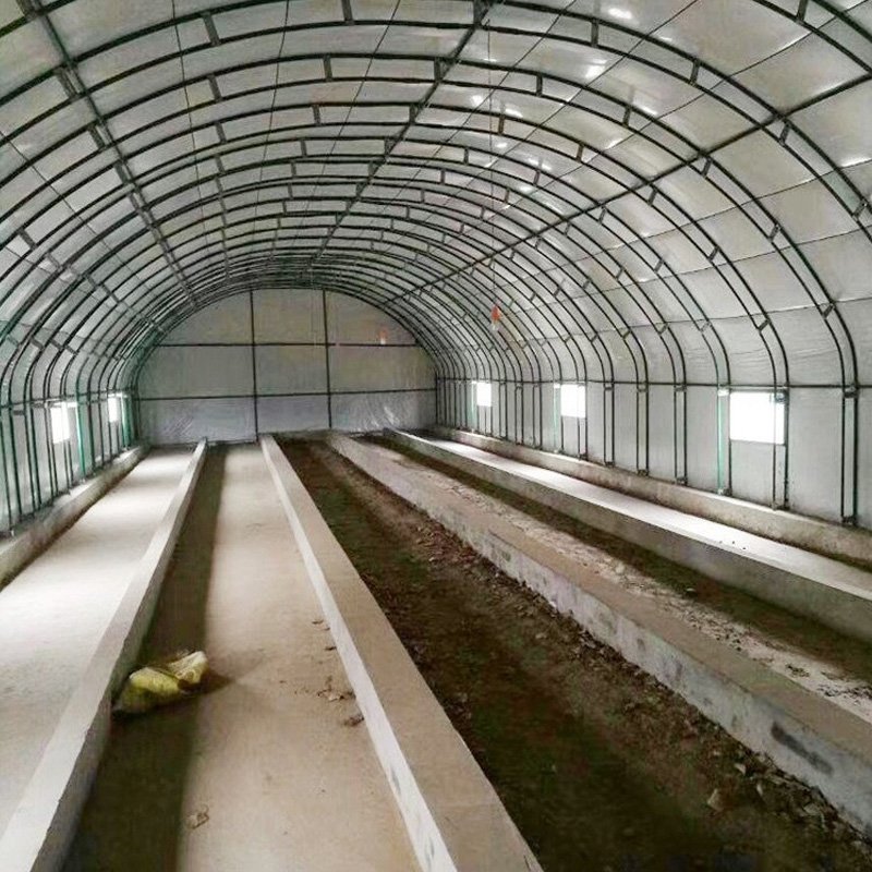 Commercial single arch Agricultural Farm thermal insulation oval pipe greenhouse for vegetable double layer insulated Greenhouse