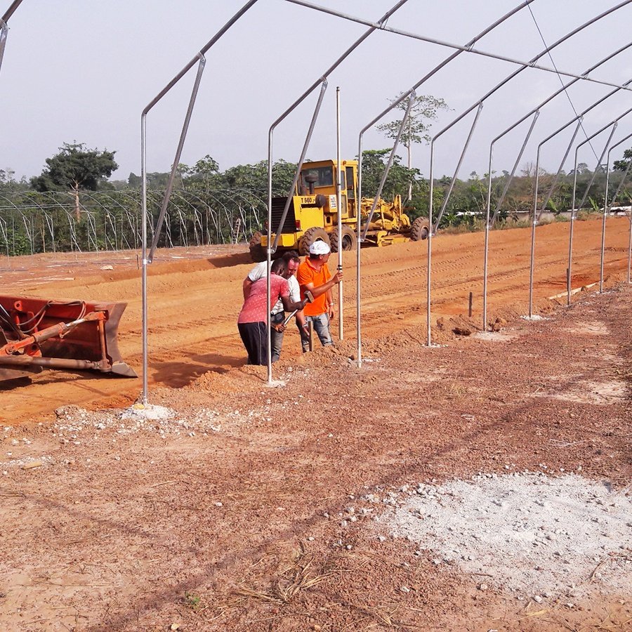Single-span greenhouse sale with hidroponic and other fodder system optional