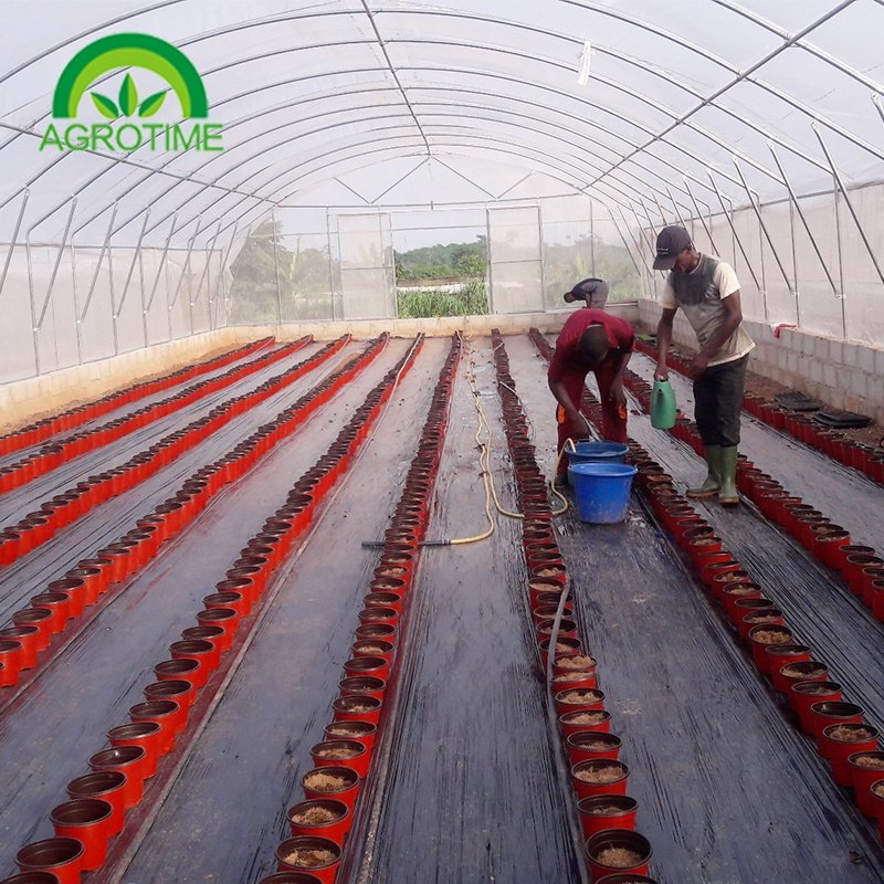 Single-span greenhouse sale with hidroponic and other fodder system optional
