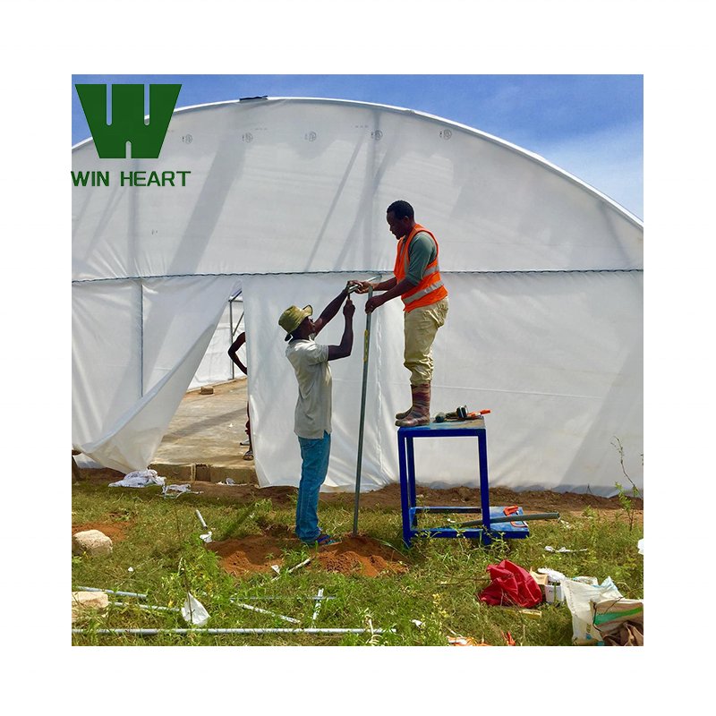 .popular factory supply agricultural Greenhouse