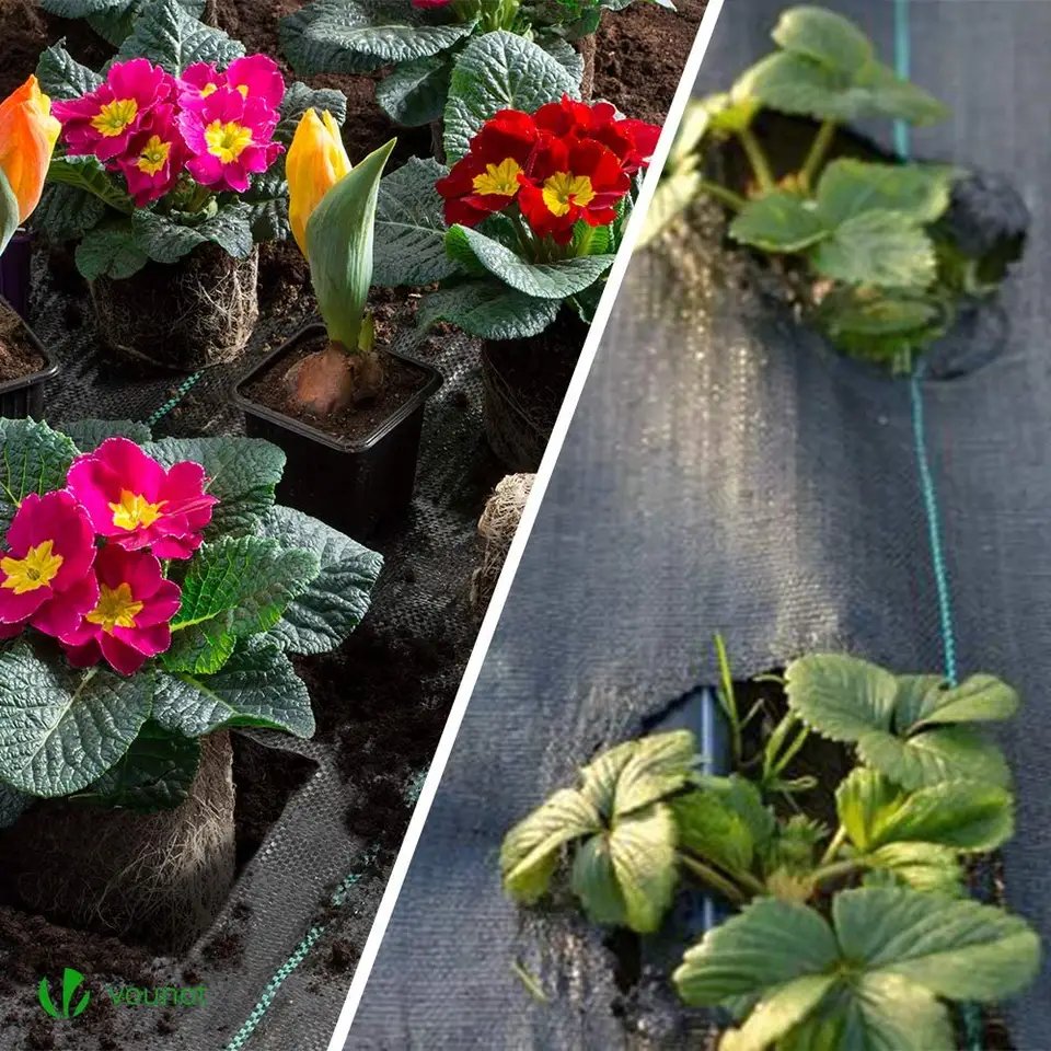 Uv 3% PP Woven Membrane Anti Weed Mat Weed Control Barrier Landscape Mulching Fabric For Greenhouse Or Gardent