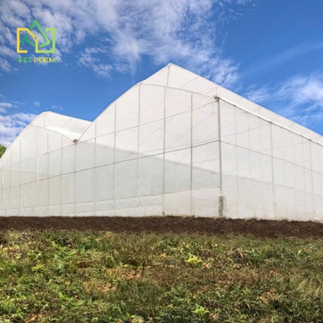 Agriculture multi span greenhouse frame tunnel film green house Flower And Vegetables greenhouse
