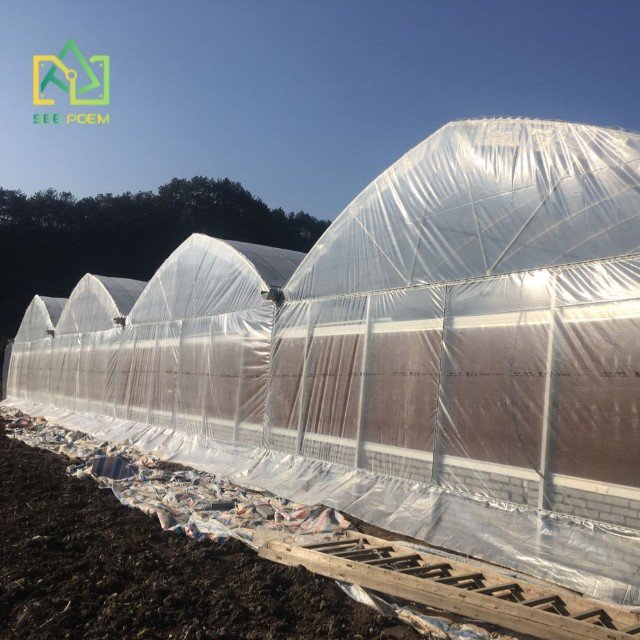 Agriculture multi span greenhouse frame tunnel film green house Flower And Vegetables greenhouse
