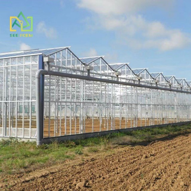Agriculture multi span greenhouse frame tunnel film green house Flower And Vegetables greenhouse