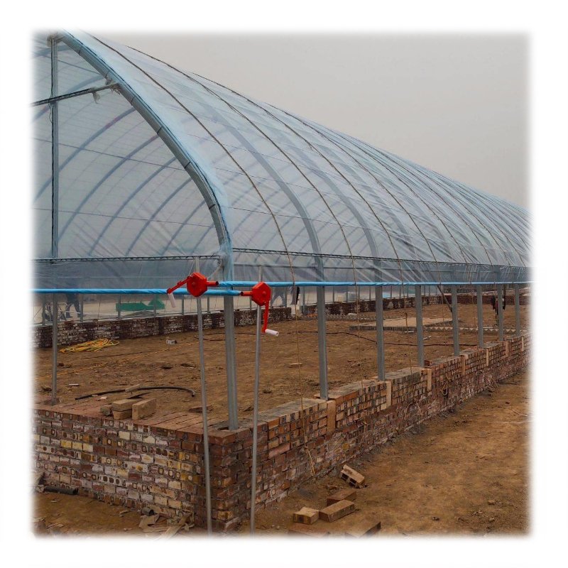 agricultural/commercial green house greenhouse for Agricultural Greenhouses