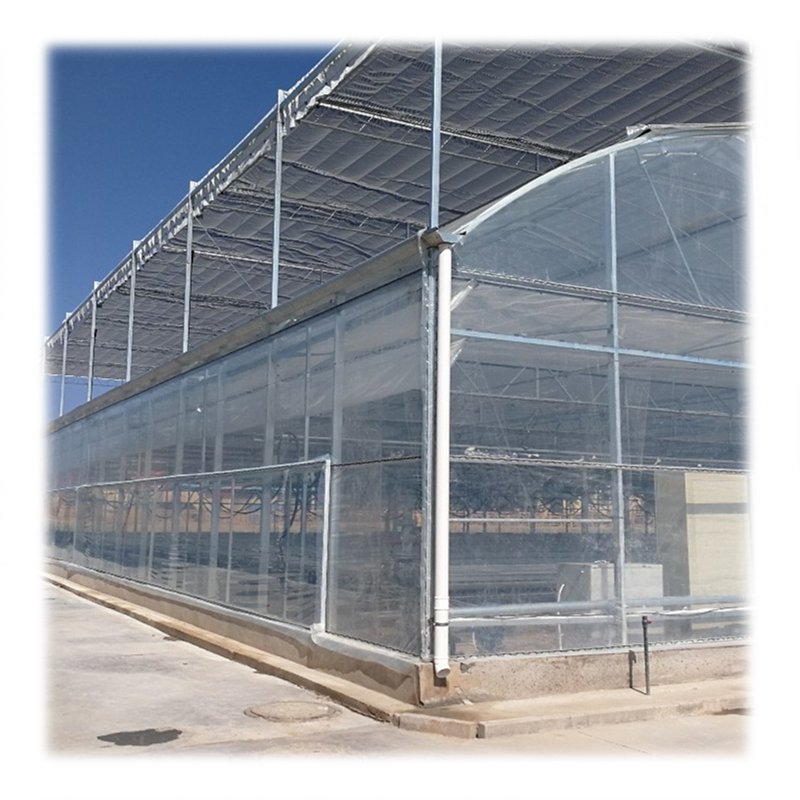 agricultural/commercial green house greenhouse for Agricultural Greenhouses