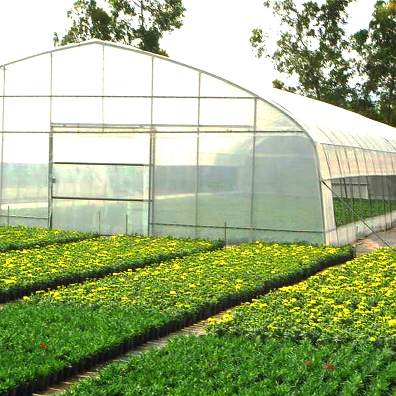 Galvanized Steel Frame Indoor Growing System Agricultural Greenhouse Vertical Hydroponic Tower for Growing Lettuce