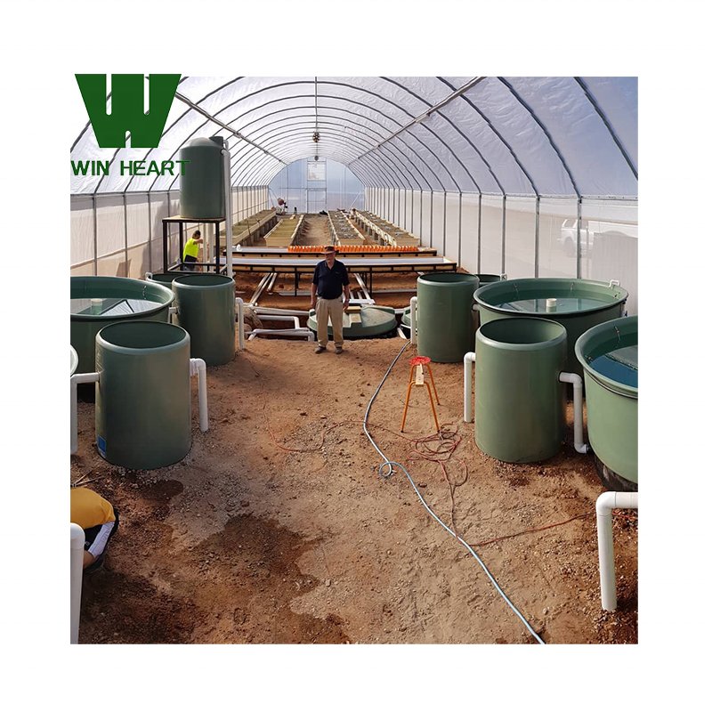 Fish Aquaponics Fish Farms Tanks greenhouse Aquaponics Growing System greenhouse/poly House For Fish And Vegetable