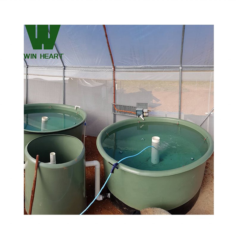 Fish Aquaponics Fish Farms Tanks greenhouse Aquaponics Growing System greenhouse/poly House For Fish And Vegetable