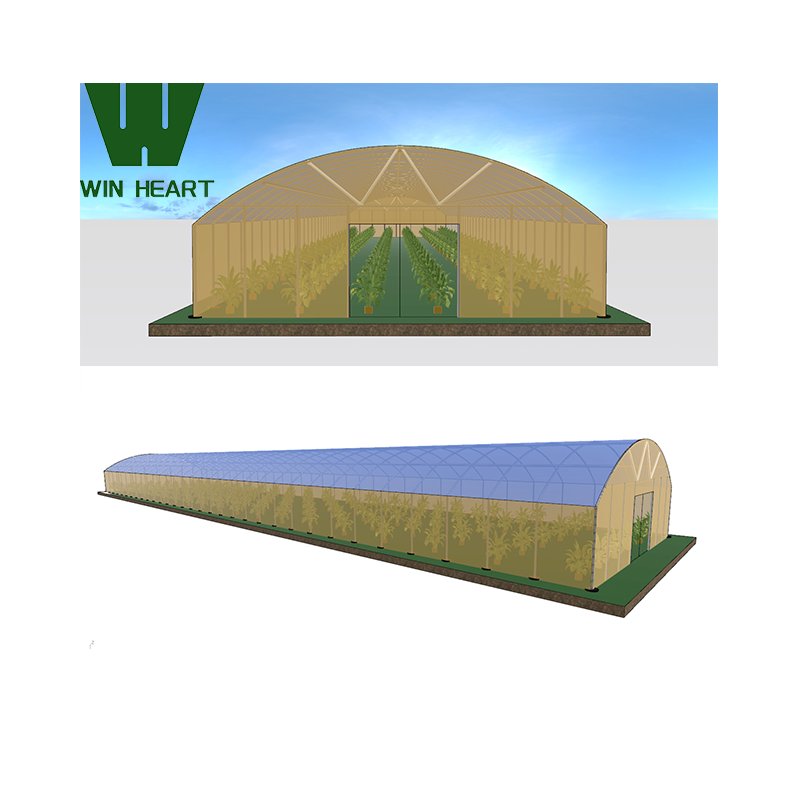 200 microns uv plastic film covering Agricultural Greenhouse For Growing Vegetables