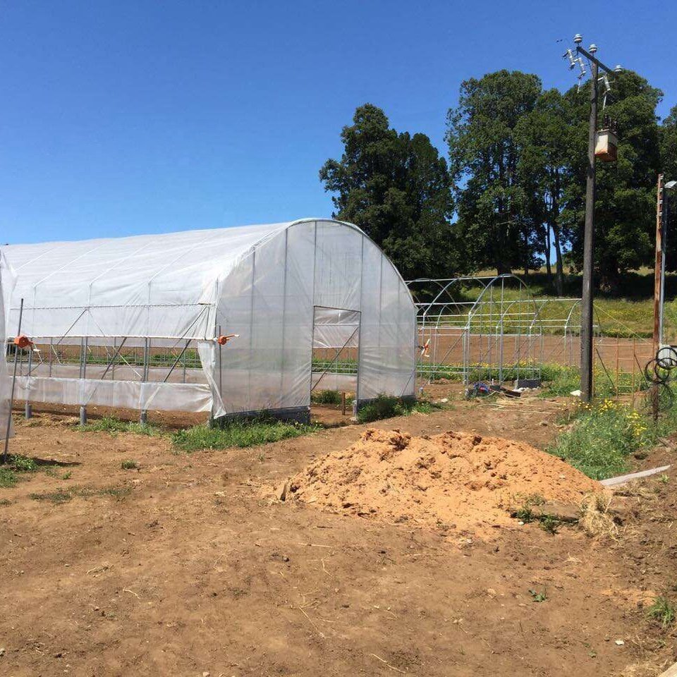 Outdoor Walk-in Greenhouse, Tunnel Green House with Roll-up Windows, Zippered Door, PE Cover, Heavy Duty Steel Frame