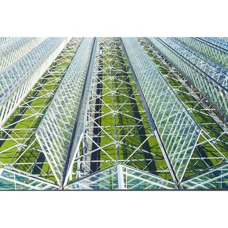 Wholesale Hot Good Light Transmission Industrial Glass Greenhouse