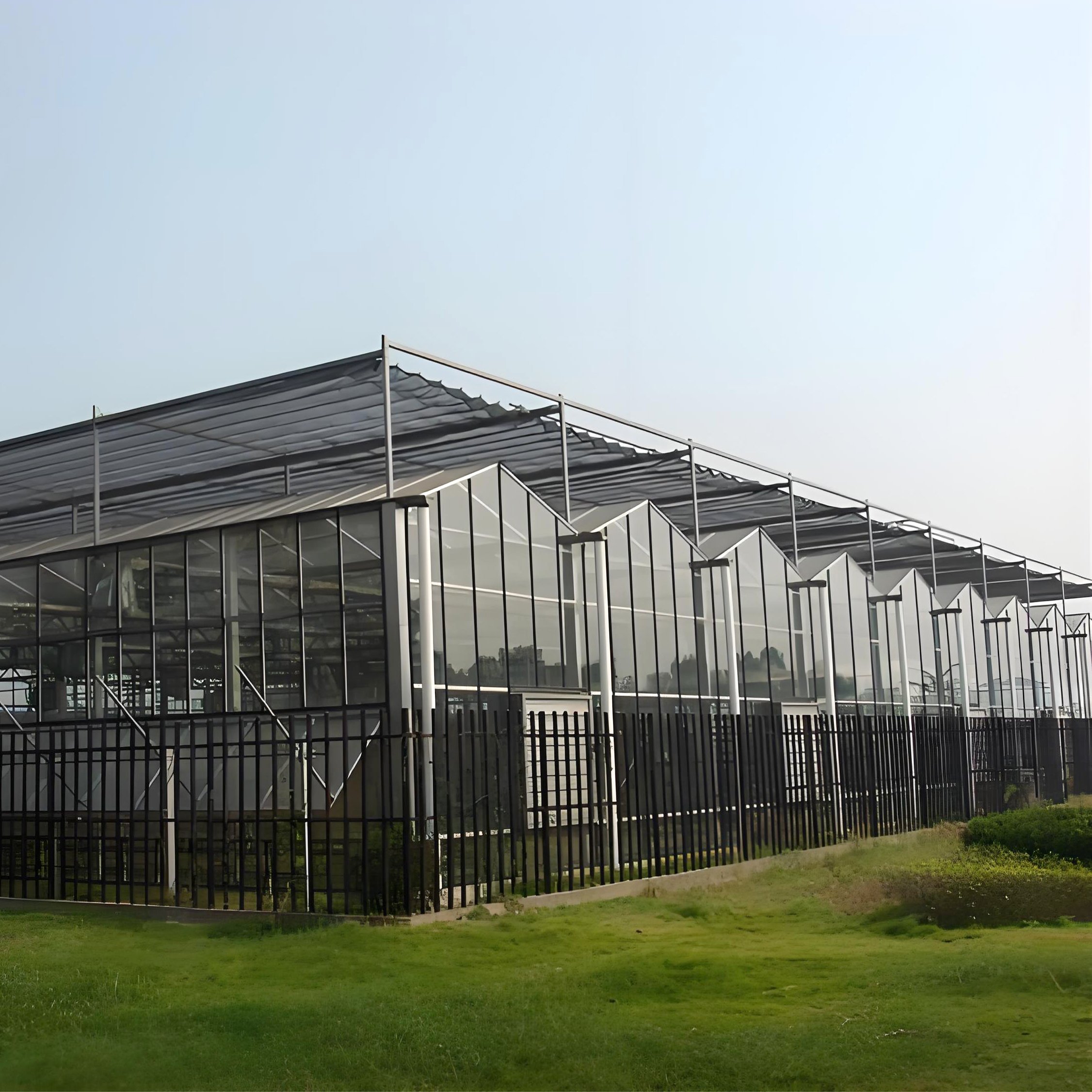 china custom commercial agriculture greenhouse green house frame Polycarbonate glass multi-span planting greenhouse for sale