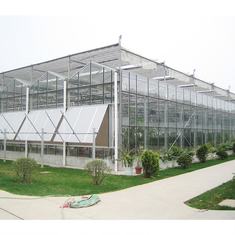 china custom commercial agriculture greenhouse green house frame Polycarbonate glass multi-span planting greenhouse for sale