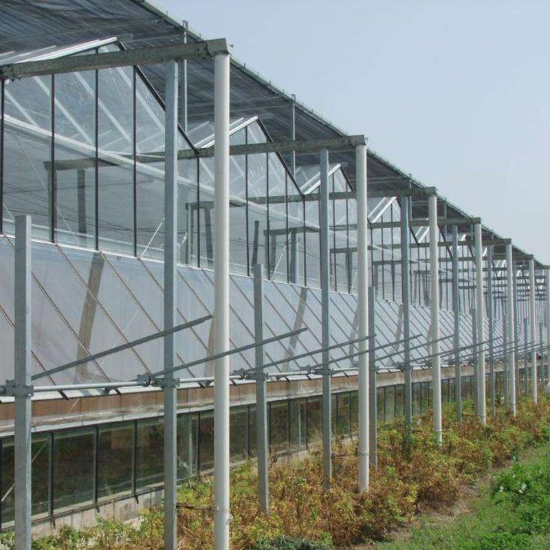 Intelligent Glass Greenhouse for Vegetable Sightseeing Restaurant Florals Breeding Jointed Agricultural Uses