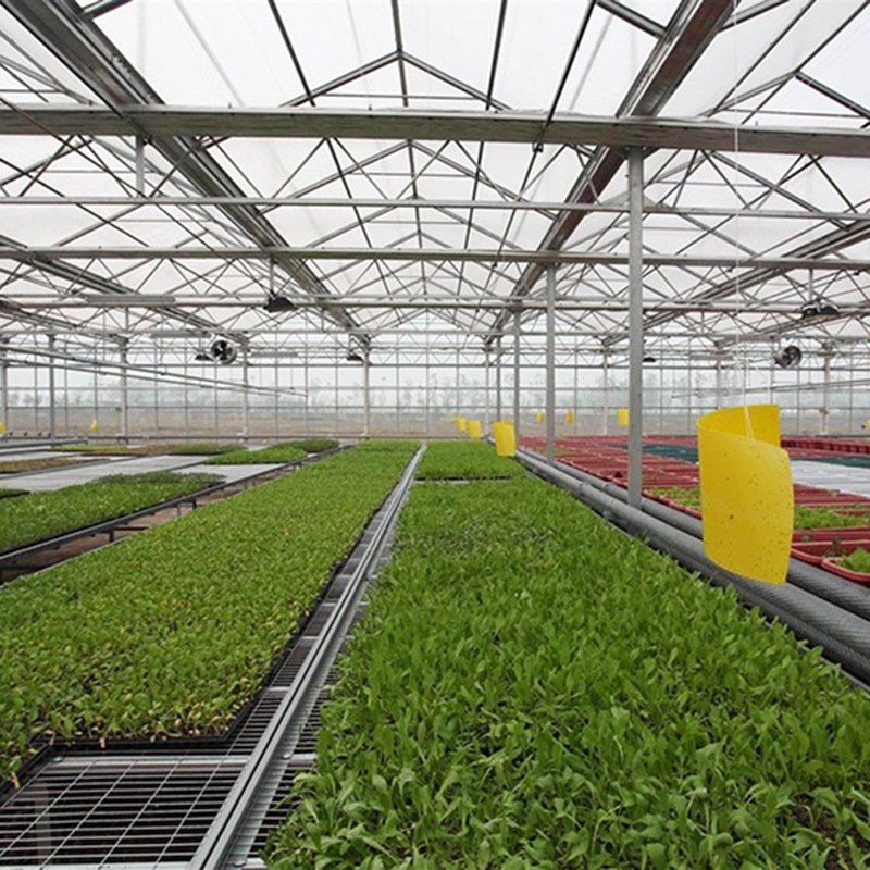 Intelligent Glass Greenhouse for Vegetable Sightseeing Restaurant Florals Breeding Jointed Agricultural Uses