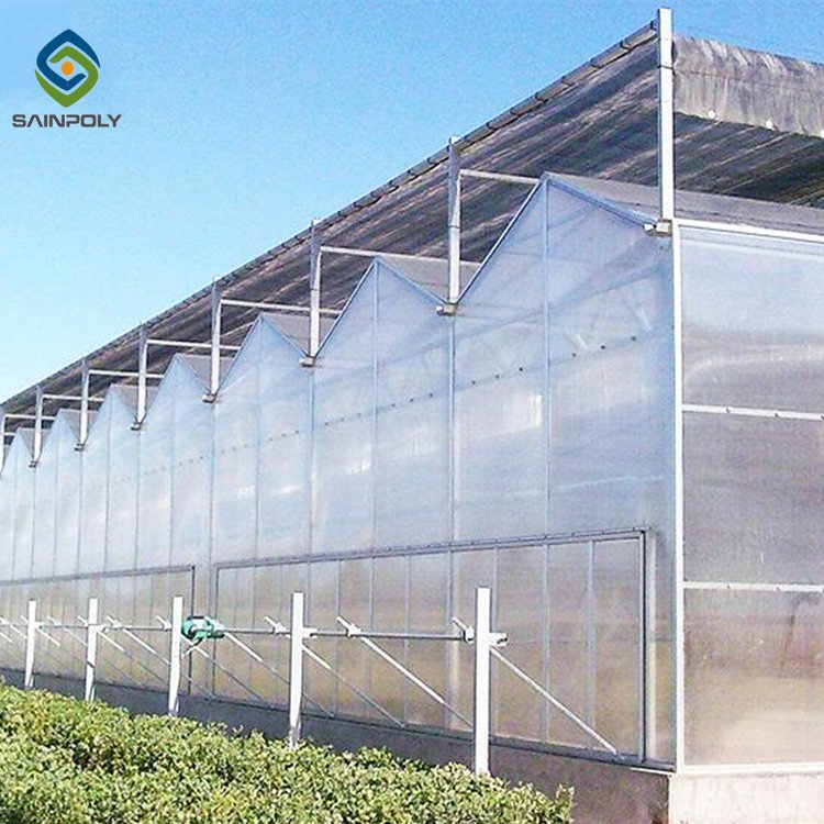 Hot sale chinese polycarbonate green house greenhouse agriculture with irrigation&hydroponics equipment