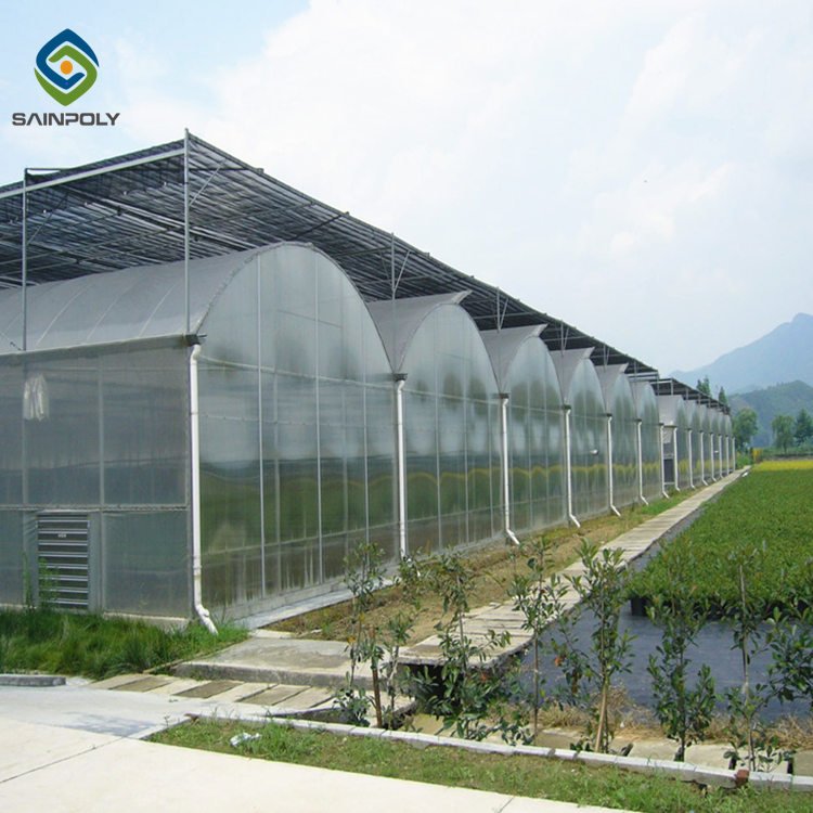 Hot sale chinese polycarbonate green house greenhouse agriculture with irrigation&hydroponics equipment