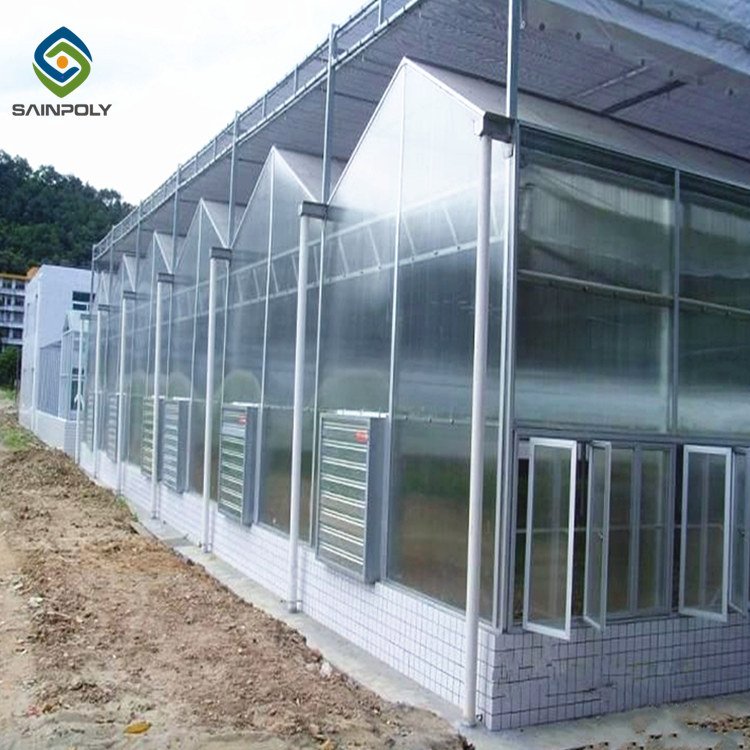 Hot sale chinese polycarbonate green house greenhouse agriculture with irrigation&hydroponics equipment