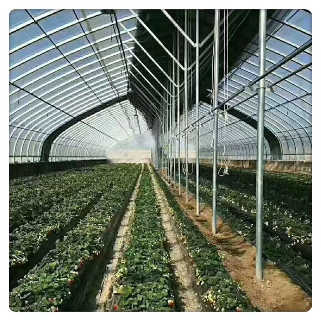 High Performance Single Span Agricultural Greenhouse Large Tunnel Type Durable PE Steel Materials with Film Greenhouse Container
