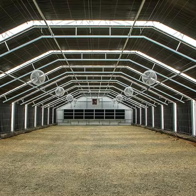 Customized Automated Light Deprivation span tunnel Blackout System insulated agricultural Greenhouse Kit For Mushroom