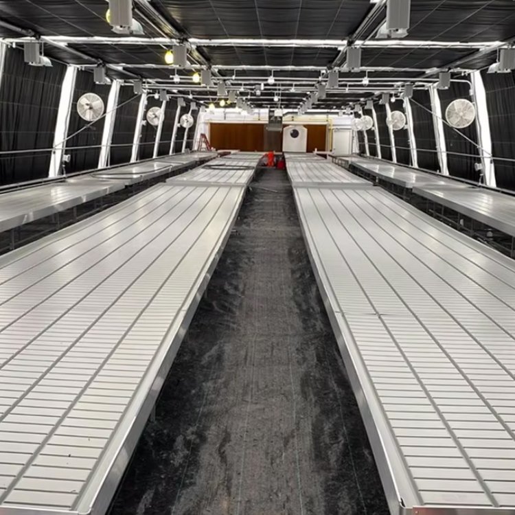 Customized Automated Light Deprivation span tunnel Blackout System insulated agricultural Greenhouse Kit For Mushroom
