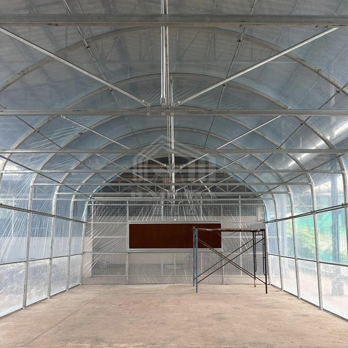 galvanized structure plastic tunnel house china single span low tunnel greenhouse for sale