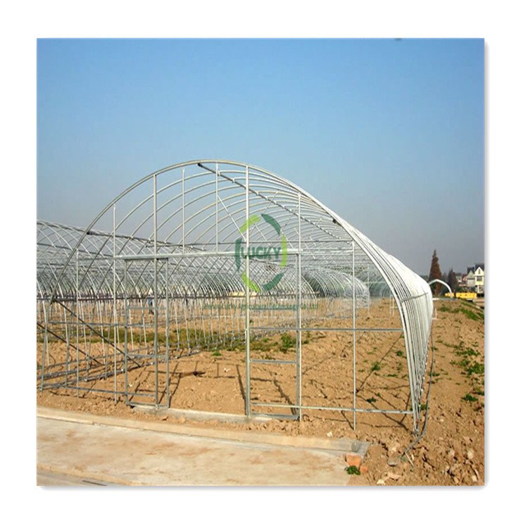 Heavy Duty Wet Wall Farming Tomato Hydroponic Tunnel Greenhouse in Poland for Outdoors