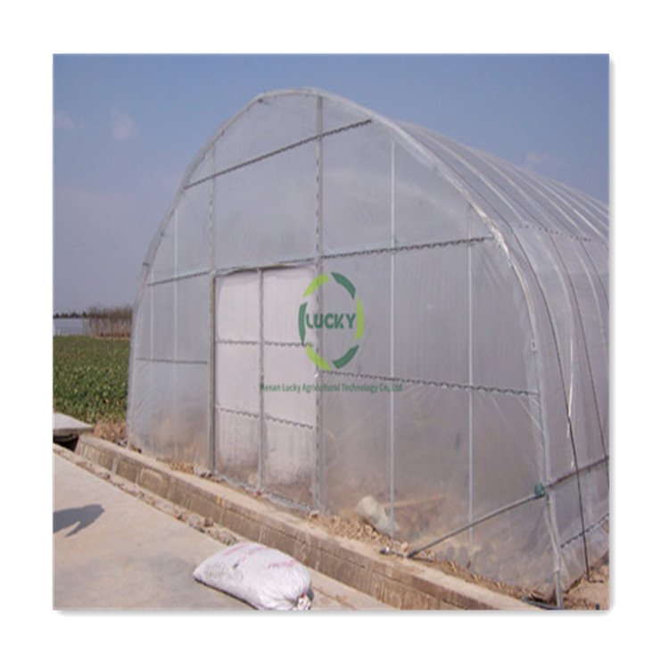 Heavy Duty Wet Wall Farming Tomato Hydroponic Tunnel Greenhouse in Poland for Outdoors