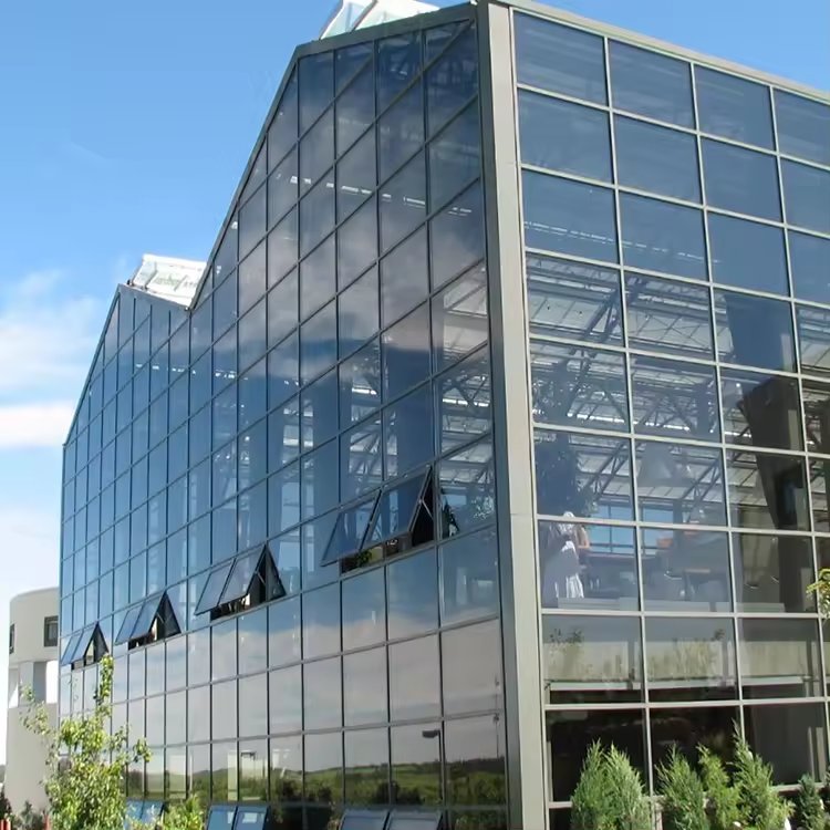 Polycarbonate covering commercial agricultural multi-span glass greenhouse with hydroponic system
