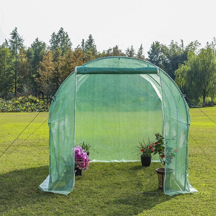 Heavy Duty Vegetable Greenhouse with Wind-Resistant Metal Frame Garden Greenhouses