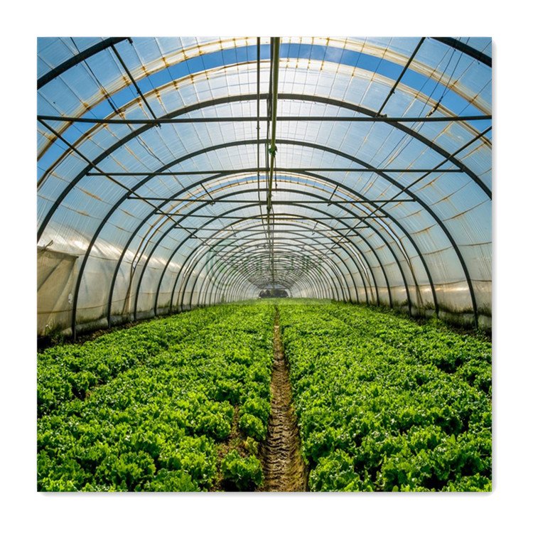 Agriculture greenhouse aluminium metal equipment vegetable tunnel greenhouses