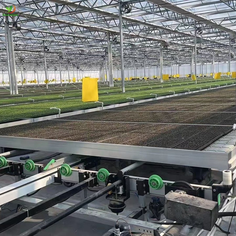 5x10 5x5 plastic ebb flow trays 150x150 for tomato ,lettuce ,vegetable Agriculture greenhouse Hydroponics