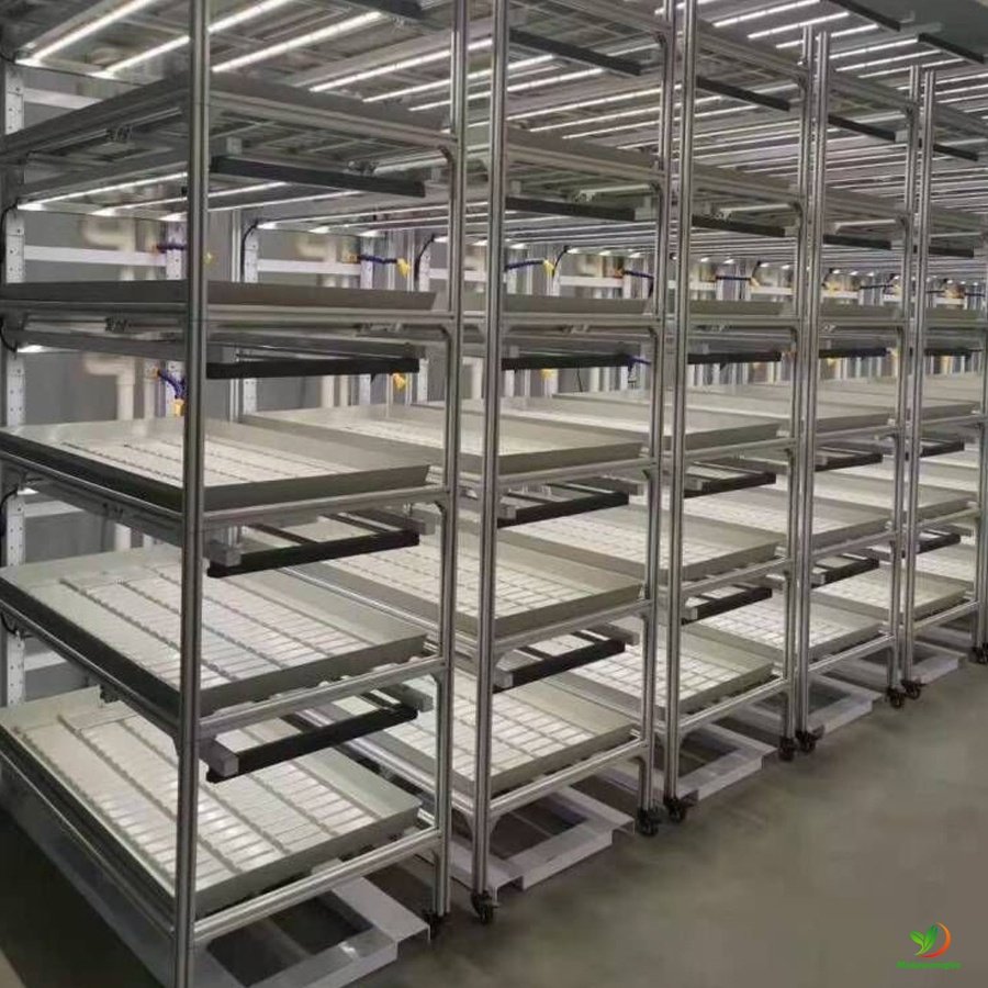 5x10 5x5 plastic ebb flow trays 150x150 for tomato ,lettuce ,vegetable Agriculture greenhouse Hydroponics