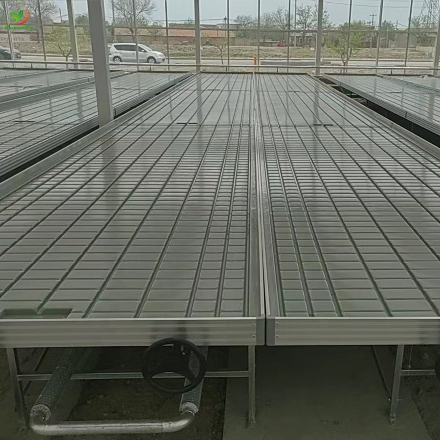 5x10 5x5 plastic ebb flow trays 150x150 for tomato ,lettuce ,vegetable Agriculture greenhouse Hydroponics