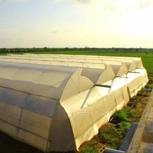 Tunnel agricultural greenhouse Solar insulation steel frame greenhouse for sale