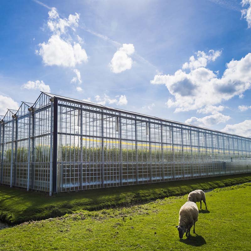 Tunnel agricultural greenhouse Solar insulation steel frame greenhouse for sale