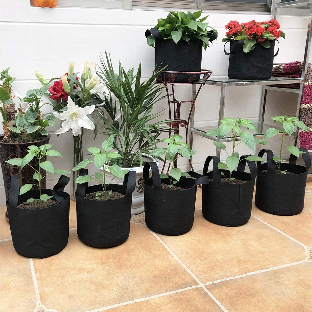 Biodegradable Grow Bags Cloth Eco Friendly Fabric Grow Bags Approved 10 Gallon Grow Bags For Agriculture Garden Greenhouse