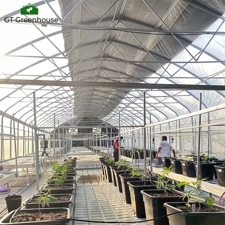 GT Light Diprivation Green house Medical Plant Agricultural Commercial Blackout Greenhouses