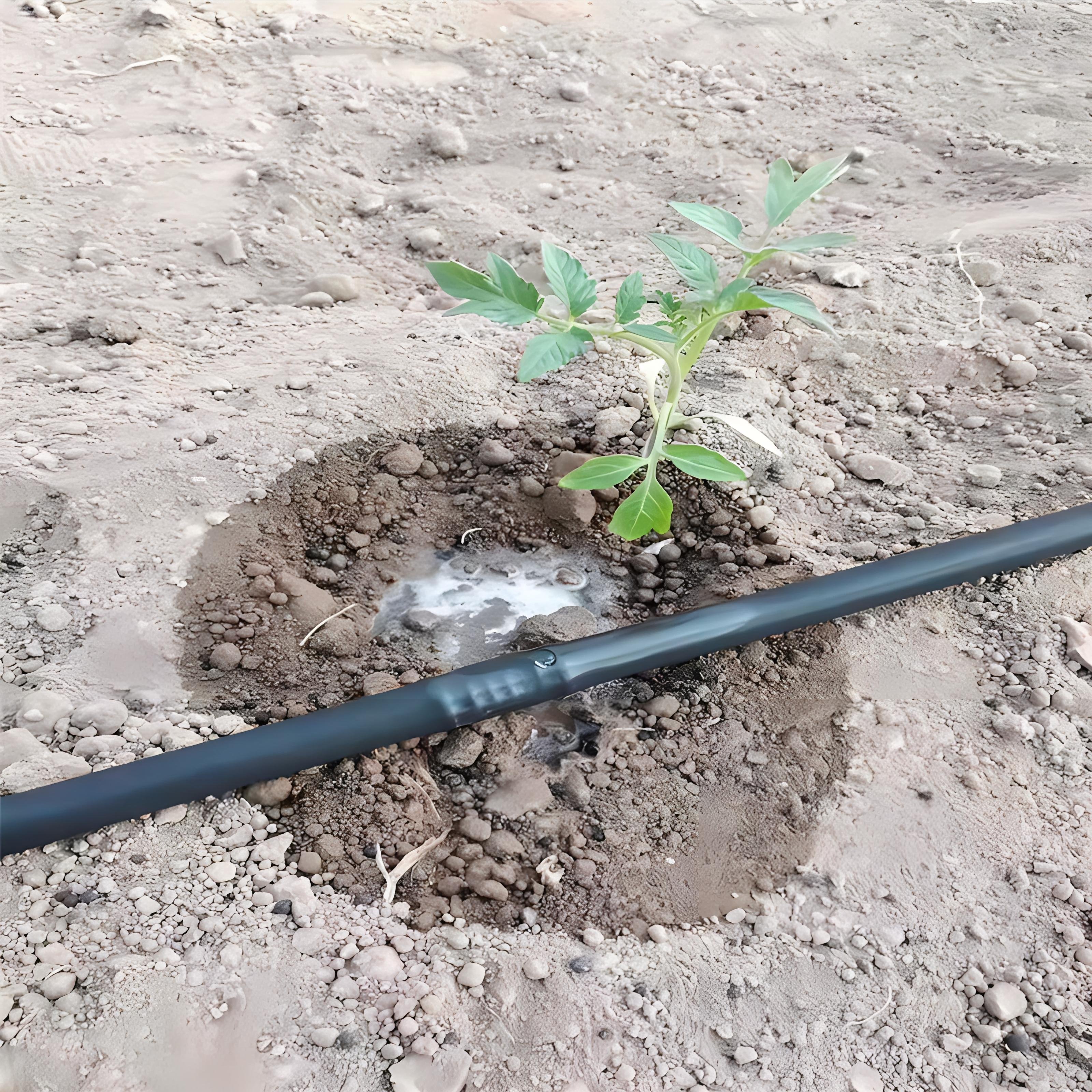 Agricultural vegetable water-saving drip pipe Horticultural greenhouse Drip Pipe