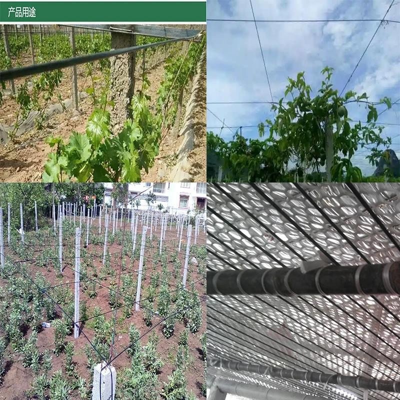 Agricultural Greenhouse Accessories Grape Trellis Polyester Monofilament Plastic Wire