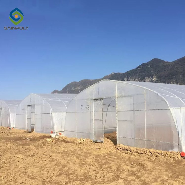 Sainpoly 300 Square Meter Single Span Tunnel Vegetable Greenhouse Low Cost Agricultural Tunnel Greenhouse for Sale