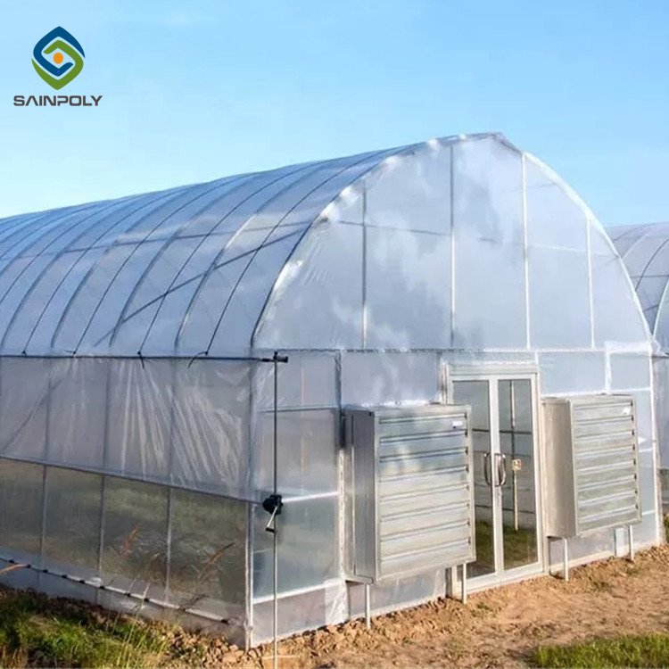 Sainpoly 300 Square Meter Single Span Tunnel Vegetable Greenhouse Low Cost Agricultural Tunnel Greenhouse for Sale