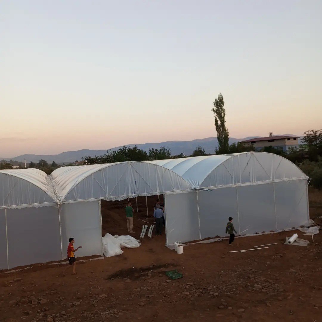 Agricultural Multi Span Greenhouse Plastic Film Hydroponics Vertical Farming System Greenhouse