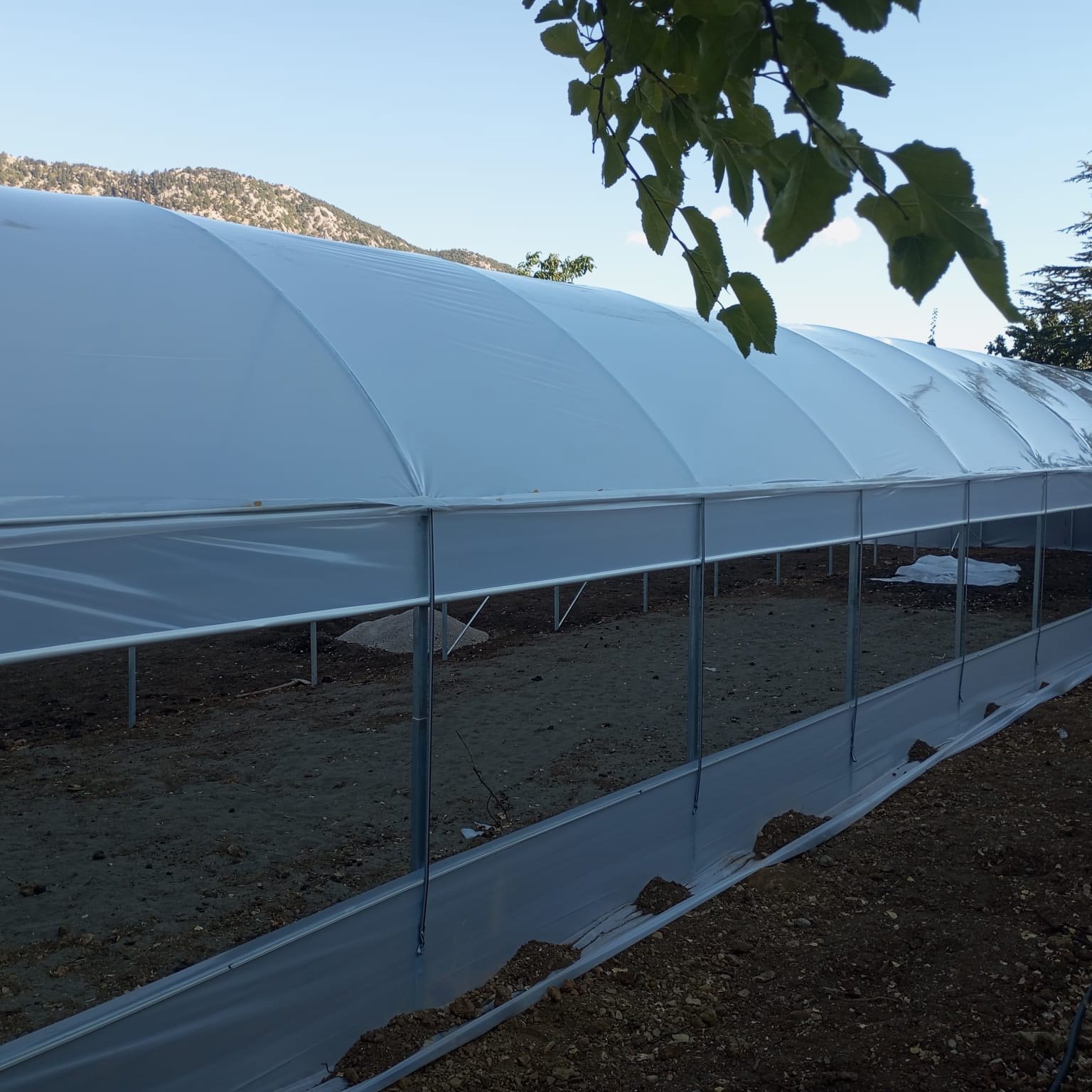 Agricultural Multi Span Greenhouse Plastic Film Hydroponics Vertical Farming System Greenhouse