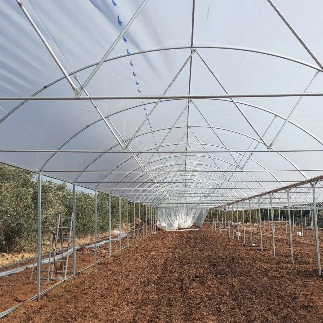 Agricultural Multi Span Greenhouse Plastic Film Hydroponics Vertical Farming System Greenhouse