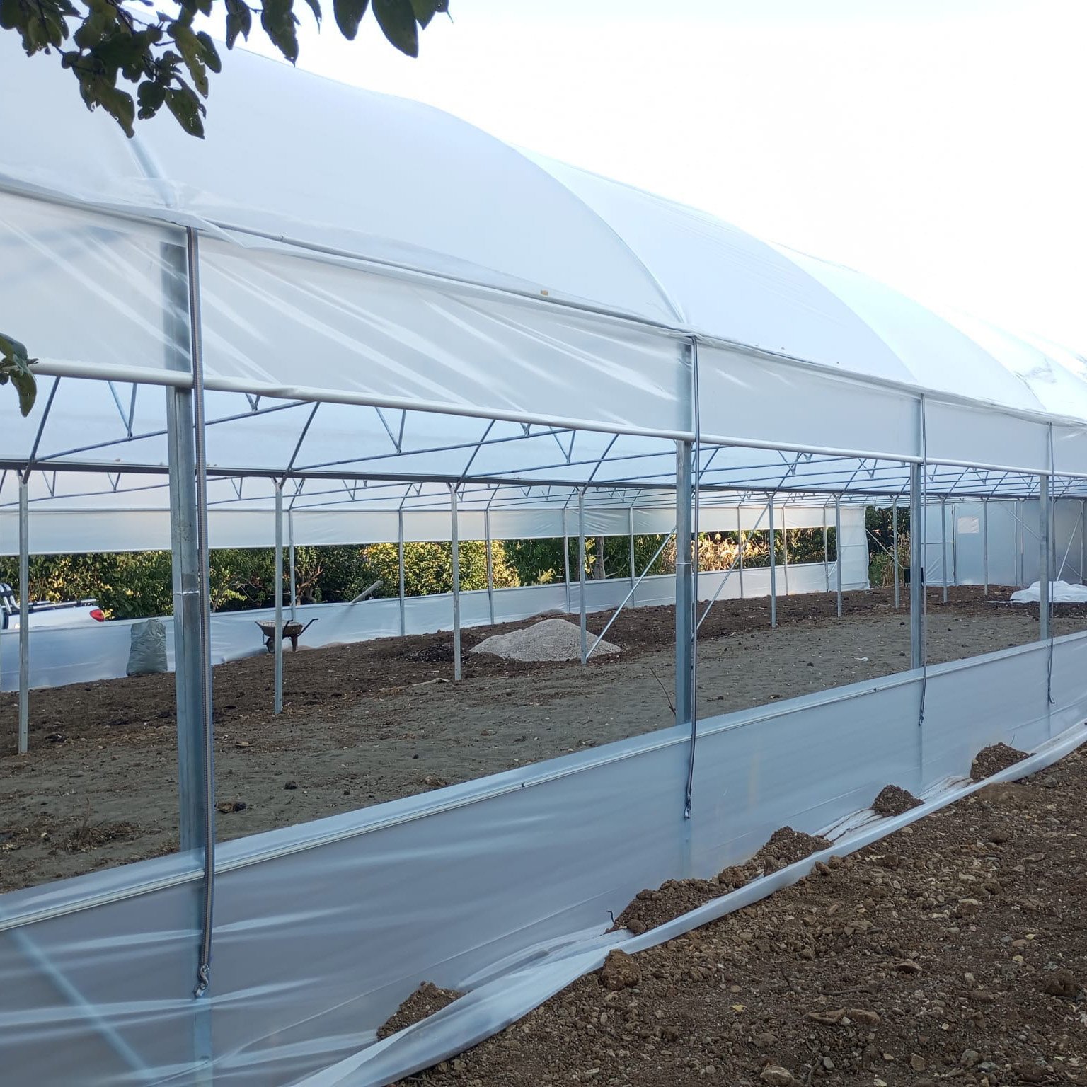 Agricultural Multi Span Greenhouse Plastic Film Hydroponics Vertical Farming System Greenhouse