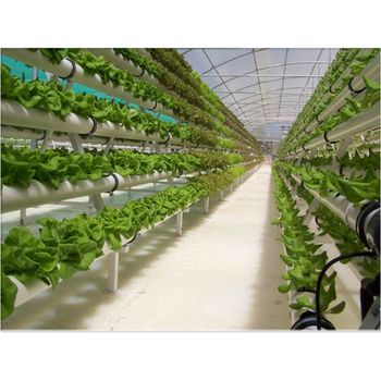 Nursery Greenhouse With Vertical Aeroponics System Piping Type hydroponic grow system NFT Farm hydroponic system