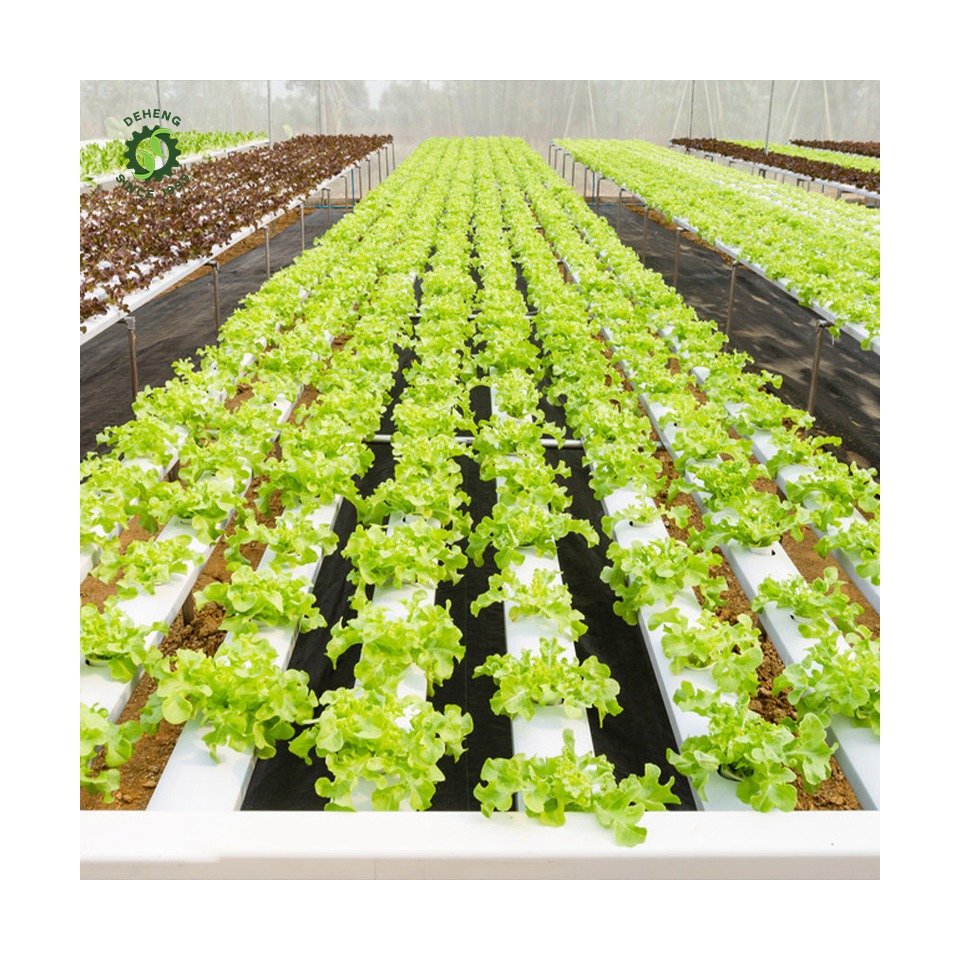 Made China Superior Quality Agricultural Greenhouses Nft Channel Hydroponics System Set Kit Nft Hydroponic In Pvc Pipe